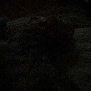 Meet your Posher, Joanna